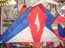 伞布风筝与发光风筝，带灯风筝